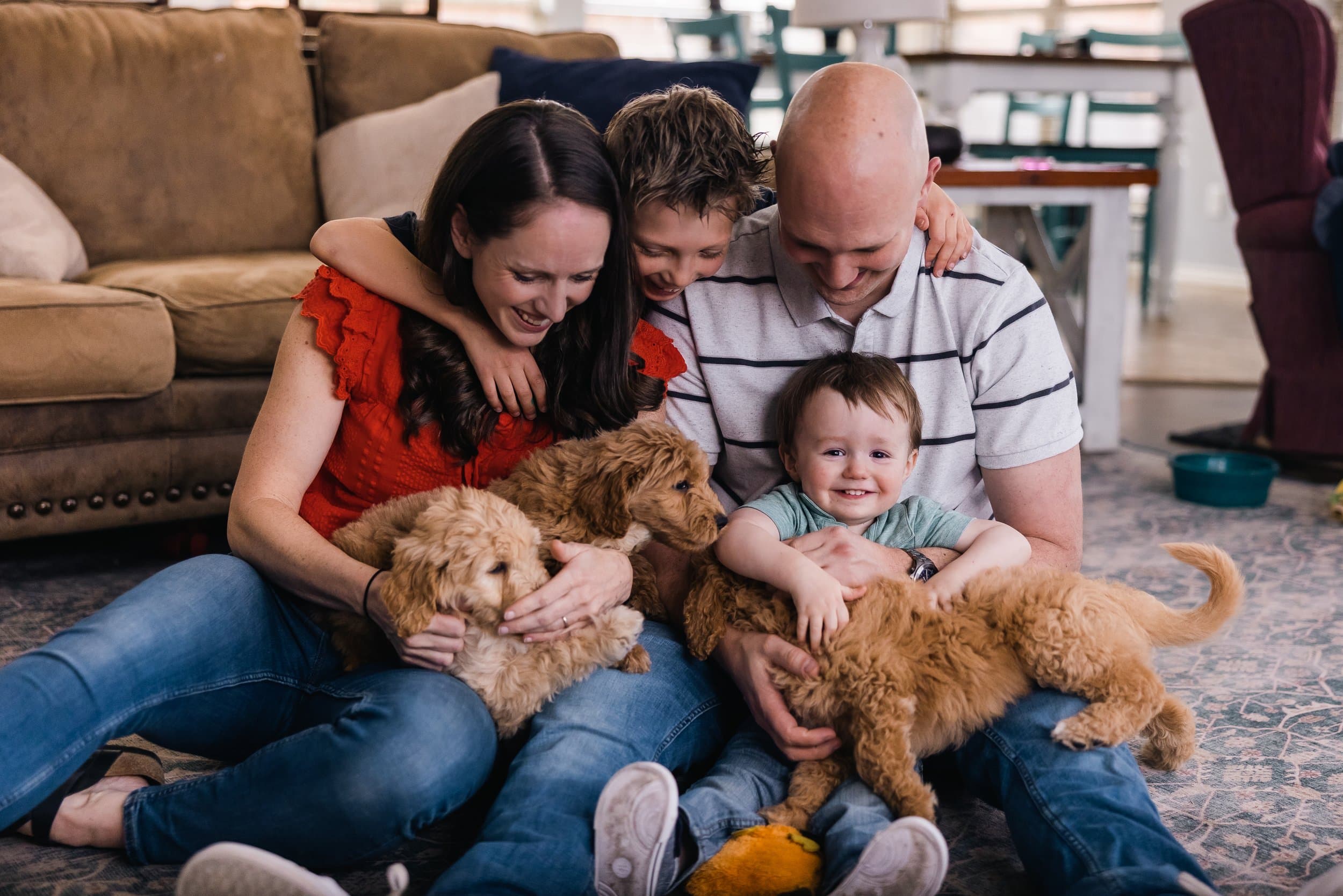 The Purkey family playing with their Goldendoodle puppies