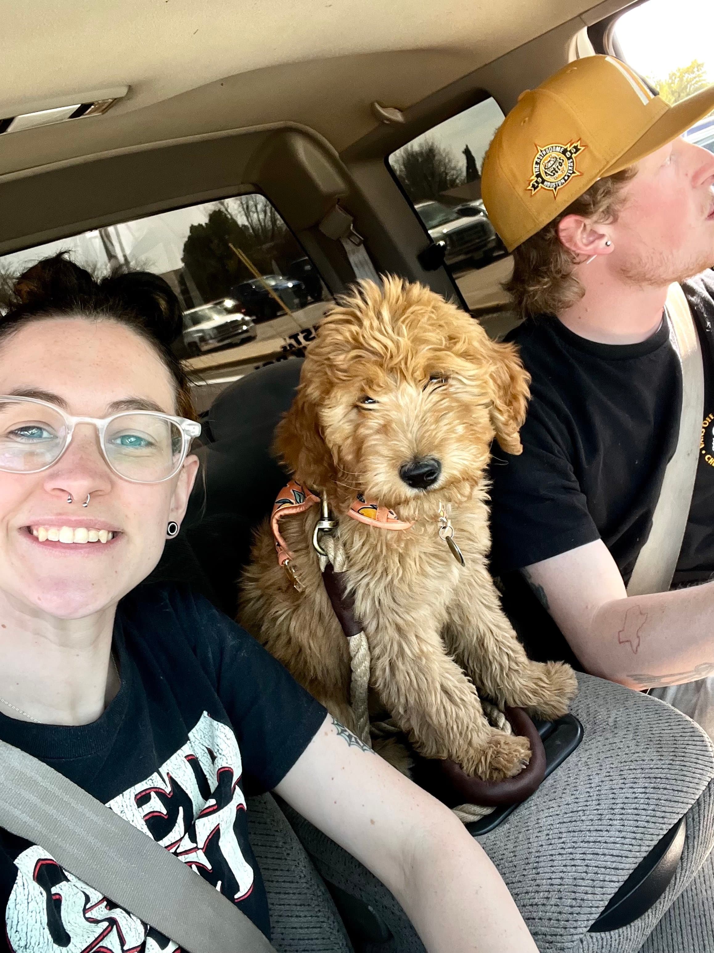Webb Family with their Purkey Puppies Goldendoodle